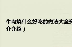 牛肉烧什么好吃的做法大全窍门（家常烧牛肉的做法相关内容简介介绍）