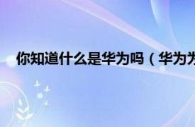 你知道什么是华为吗（华为为什么叫华为相关内容简介介绍）