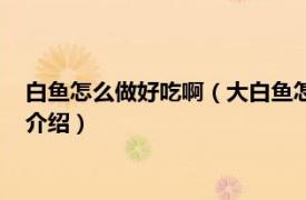 白鱼怎么做好吃啊（大白鱼怎样做好吃有什么做法相关内容简介介绍）