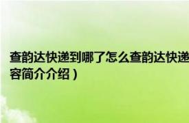 查韵达快递到哪了怎么查韵达快递单号查询（怎么查韵达快递到哪了相关内容简介介绍）