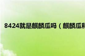 8424就是麒麟瓜吗（麒麟瓜和8424一样吗相关内容简介介绍）