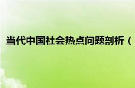 当代中国社会热点问题剖析（当代中国社会道德热点问题研究）