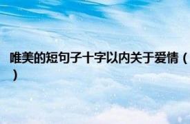 唯美的短句子十字以内关于爱情（爱情短句唯美十字以内相关内容简介介绍）