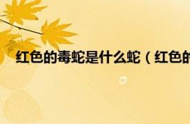 红色的毒蛇是什么蛇（红色的蛇是什么蛇相关内容简介介绍）