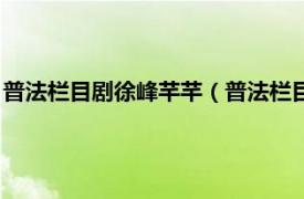 普法栏目剧徐峰芊芊（普法栏目剧刘小芊结局相关内容简介介绍）