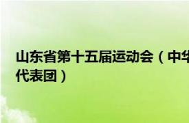 山东省第十五届运动会（中华人民共和国第十四届运动会山东省代表团）