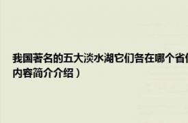 我国著名的五大淡水湖它们各在哪个省份面积各是多少（五大淡水湖面积最大的是相关内容简介介绍）