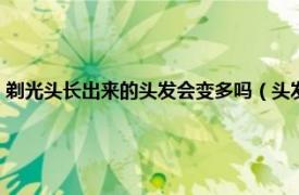 剃光头长出来的头发会变多吗（头发剃光再长会变多吗相关内容简介介绍）