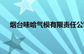 烟台哇哈气模有限责任公司（烟台哈喽气模有限公司）