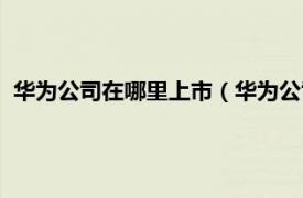 华为公司在哪里上市（华为公司有没有上市相关内容简介介绍）