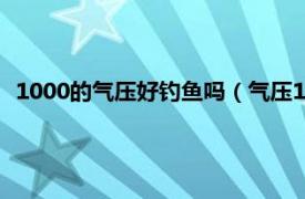 1000的气压好钓鱼吗（气压1000能钓鱼吗相关内容简介介绍）