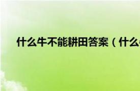 什么牛不能耕田答案（什么牛不会耕地相关内容简介介绍）