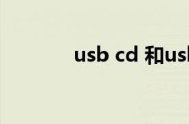 usb cd 和usb fdd usb hdd