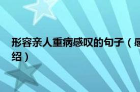 形容亲人重病感叹的句子（感叹亲人病痛的句子相关内容简介介绍）