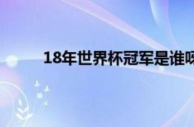 18年世界杯冠军是谁呀（18年世界杯冠军是谁）