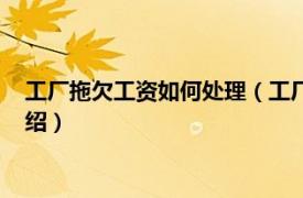 工厂拖欠工资如何处理（工厂拖欠工资怎么处理相关内容简介介绍）