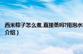 西米粽子怎么煮,直接蒸吗?用泡水吗（西米粽子煮的还是蒸的相关内容简介介绍）