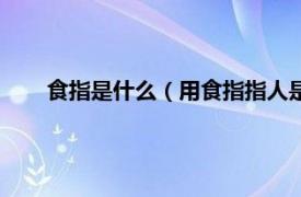 食指是什么（用食指指人是什么行为相关内容简介介绍）