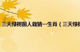 三天绿树前人栽猜一生肖（三天绿树前人栽是什么生肖相关内容简介介绍）