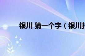 银川 猜一个字（银川打一字相关内容简介介绍）