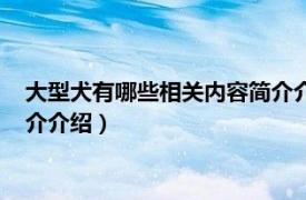 大型犬有哪些相关内容简介介绍图片（大型犬有哪些相关内容简介介绍）