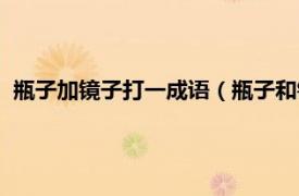 瓶子加镜子打一成语（瓶子和镜子打一成语相关内容简介介绍）