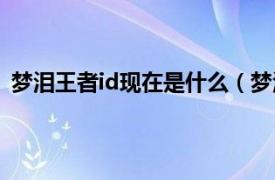 梦泪王者id现在是什么（梦泪id叫什么相关内容简介介绍）