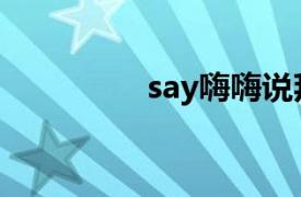 say嗨嗨说拜拜（say嗨）