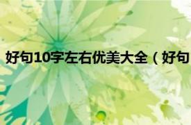 好句10字左右优美大全（好句10字左右优美相关内容简介介绍）