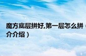 魔方底层拼好,第一层怎么拼（魔方的第一层如何拼好相关内容简介介绍）