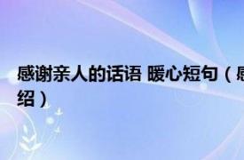 感谢亲人的话语 暖心短句（感谢亲人的话语暖心相关内容简介介绍）