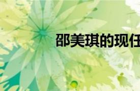 邵美琪的现任老公（邵美琪）