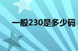 一般230是多少码（码数230是多少码）