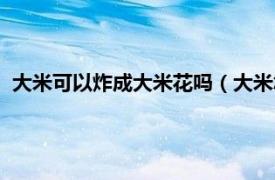 大米可以炸成大米花吗（大米怎么炸成米花相关内容简介介绍）