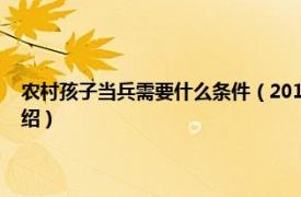 农村孩子当兵需要什么条件（2019年农村当民兵什么好处相关内容简介介绍）