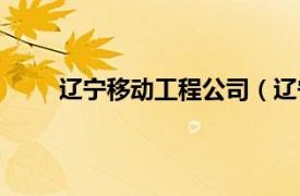 辽宁移动工程公司（辽宁移动通信责任有限公司）