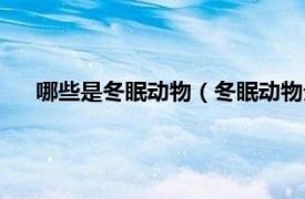 哪些是冬眠动物（冬眠动物分为哪几种相关内容简介介绍）