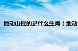 地动山摇的是什么生肖（地动山摇打一生肖相关内容简介介绍）