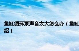 鱼缸循环泵声音太大怎么办（鱼缸里的泵声音大怎么处理理相关内容简介介绍）