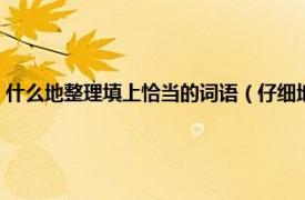 什么地整理填上恰当的词语（仔细地什么填适当的词语相关内容简介介绍）