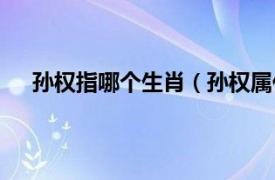 孙权指哪个生肖（孙权属什么生肖相关内容简介介绍）