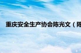 重庆安全生产协会陈光文（陈绍清 重庆市安全生产技术专家）