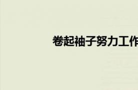 卷起袖子努力工作下一个相关内容介绍