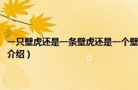 一只壁虎还是一条壁虎还是一个壁虎（一条壁虎还是一只壁虎相关内容简介介绍）