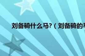 刘备骑什么马?（刘备骑的马叫什么马相关内容简介介绍）