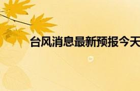 台风消息最新预报今天台风今年4号（台风消息）