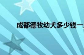 成都德牧幼犬多少钱一只（德牧幼犬多少钱一只）