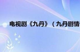 电视剧《九丹》（九丹剧情介绍大结局相关内容简介介绍）