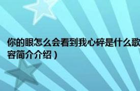 你的眼怎么会看到我心碎是什么歌（你的眼怎会看见我心碎是什么歌相关内容简介介绍）