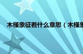 木槿象征着什么意思（木槿象征什么意思相关内容简介介绍）